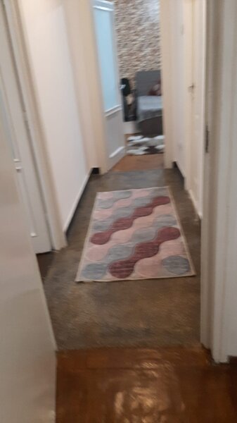 Giulesti Prunaru, Podul Grant